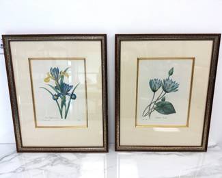 Lot 6511 Vintage Botanical Art Prints