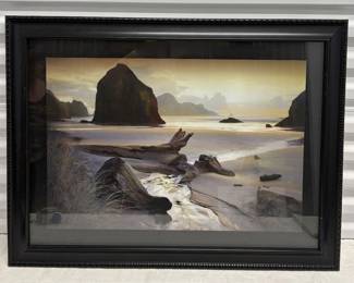 Framed Photography Titled She Sleeps In The Sand By William Vanscoy