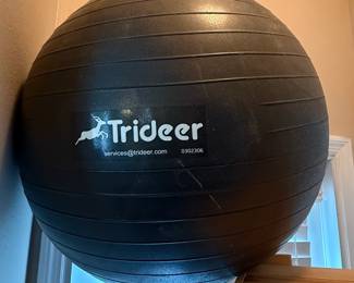 Trideer Exercise Ball