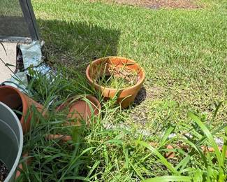 Terracotta Planters