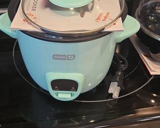 Dash 2-Cup Rice Cooker