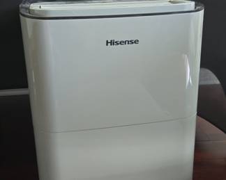 Hisense Dehumidifier