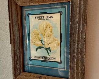 Burt's Seed Quality Sweet Peas Spencer Buff Framed Print