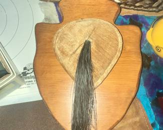 NICE TURKEY BEARD MOUNT