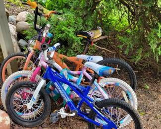 Kids bikes.  Blue one is Schwinn "Burnout"