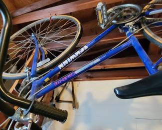 Schwinn Caliente bike