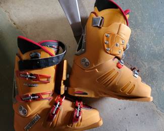 Tecnica ski boots