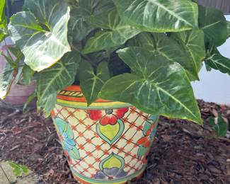 Floral ceramic pot with plant