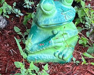 Outdoor frog
