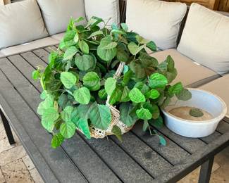 silk plant