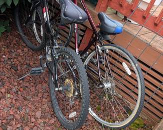 BIKES one women's and one men's