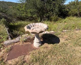 Bird bath 