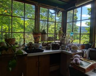 plants, pots