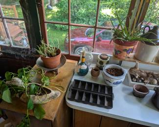 plants