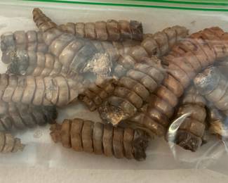 Rattler rattles