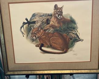 Mountain Lions Print by Robert Bateman - "Cougar"