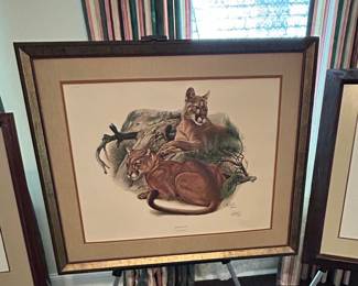 Mountain Lions Print by Robert Bateman - "Cougar"