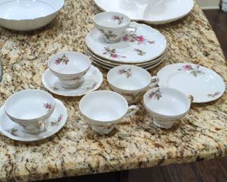 Moss Rose Porcelain Tea Set