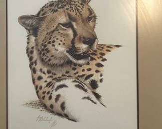 Cheetah Portrait Art Print 