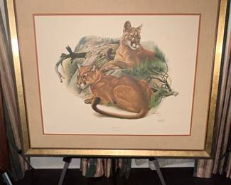 Leopard Portrait and Mountain Lions Print by Richard Timm