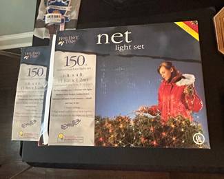 Holiday Time 150 ct. Indoor/Outdoor Net Light Set