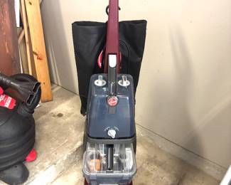 Carper cleaner