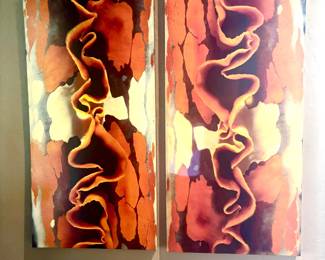 Pair of vibrant abstracts