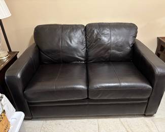 Twin sleeper loveseat