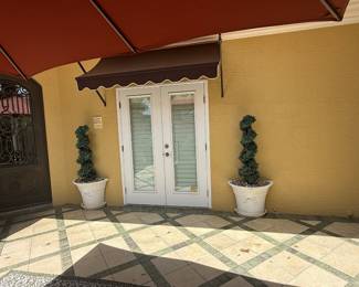 Potted topiaries