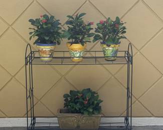 Plant stand, live plants