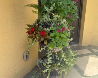 Potted floral