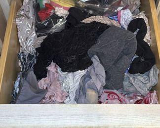 Lot 29: Assorted women's lingerie and undergarments