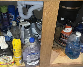 Lot 210: Assorted cleaning products and supplies