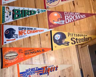 Pro Team Pennants!