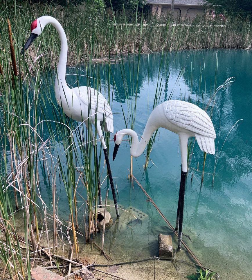 Garden Decor Life-Size Cranes!
