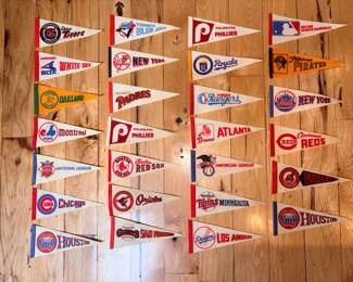 Pro Team Mini Pennants!