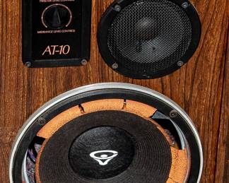 CERWIN VEGA SPEAKERS