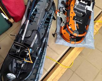 snow shows - NEW in carry bags