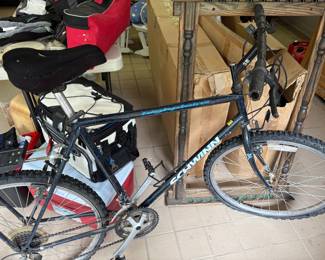 Schwinn bicycle 