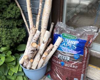 birch logs and mulch