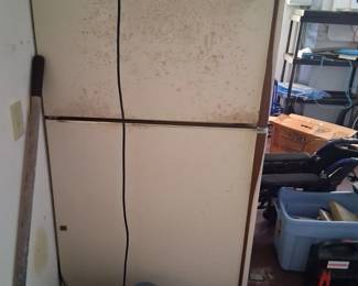 Garage fridge 