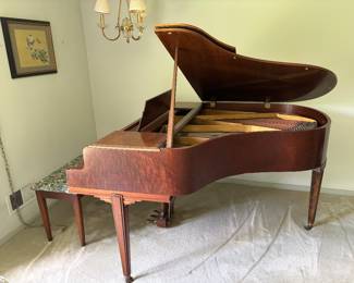 Chickening baby grand piano