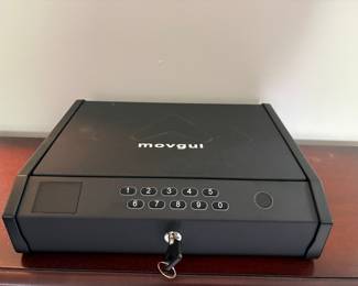 Movgul Biometric Pistol Safe