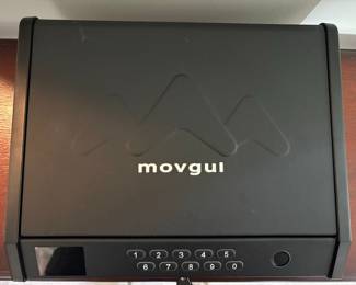 Movgul Biometric Pistol Safe