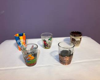 Assorted Souvenir Shot Glasses