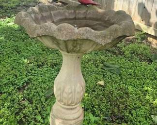 Redbird Birdbath