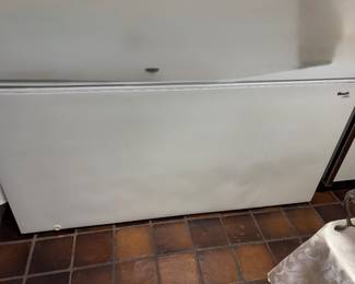 Wood’s large chest freezer