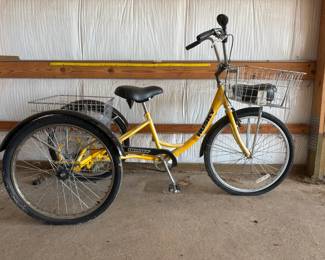Adult Tricycle by Husky
