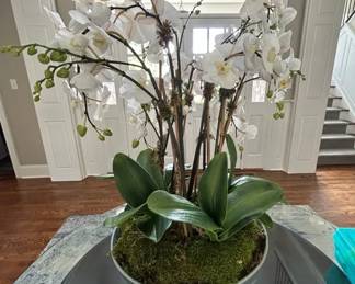 Large Orchid Arrangement in Chinoiserie Blue  White Bowl