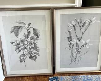 Pair of 30x40 Framed botanical prints